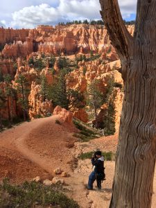 Photographers love the variety they can capture along the Navajo Trail as they exit the canyon floor and head up into the Queen's Garden. (Cheryl Welch | Travel Beat)