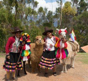 A mountain overlook on the way to Chinchero offers a chance to meet some prized llamas and alpaca. (Kevin Kaiser | Travel Beat Magazine)