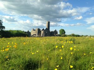 The Quin Abbey, a medieval Franciscan abbey ruins in Quin, County Clare, is an example of the many sites that are low key with few crowds. And free to visit at your leisure. (Cheryl Welch | Travel Beat)