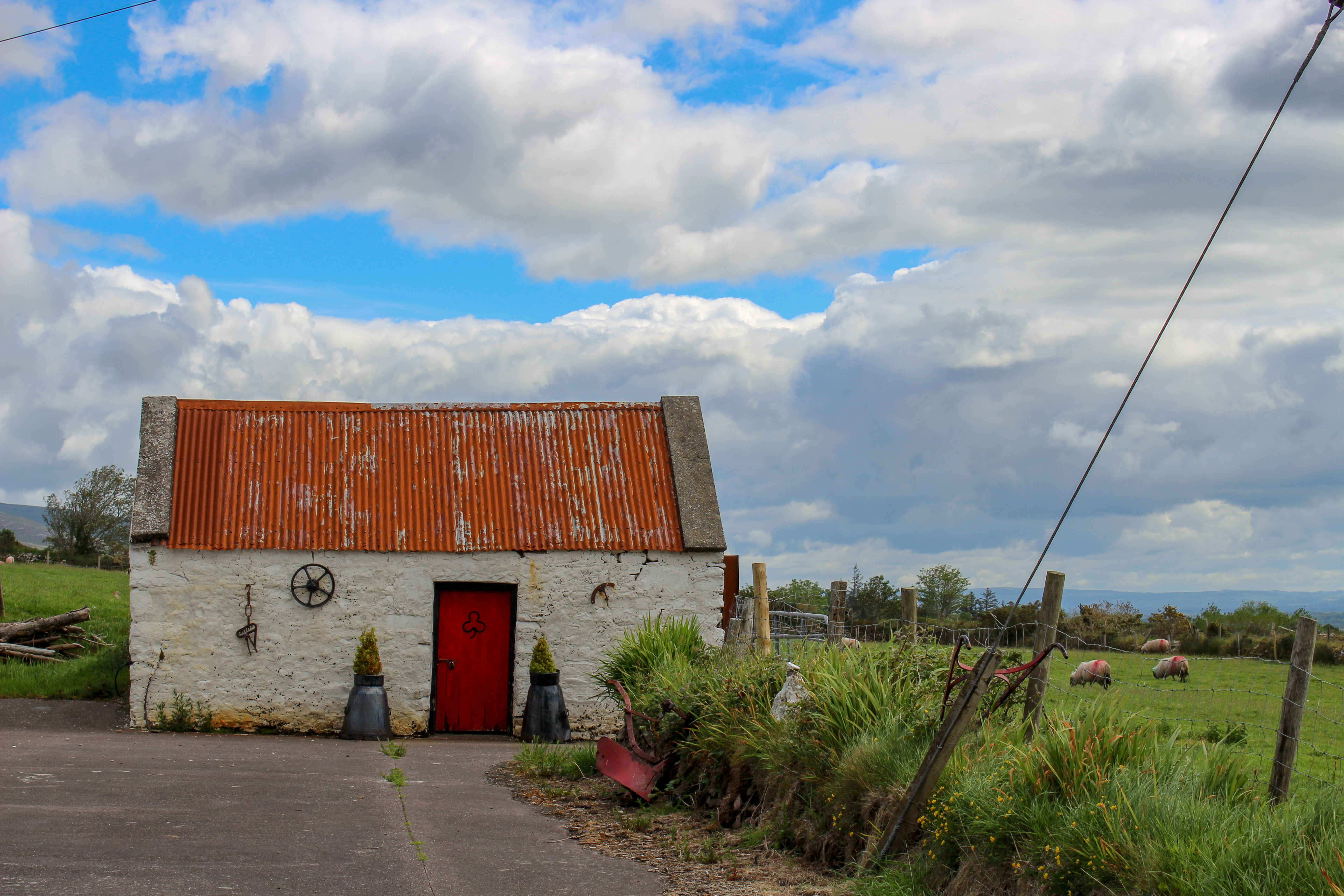 Cottages, barns and shops with colorful doors, flower boxes, and other adornments makes the countryside of Ireland cheery. (Cheryl Welch | Travel Beat Magazine)